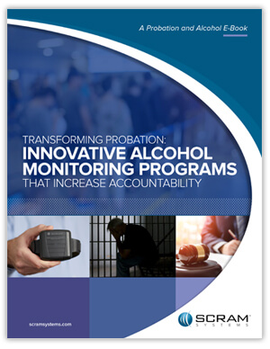 Cover of the Probation and Alcohol E-Book